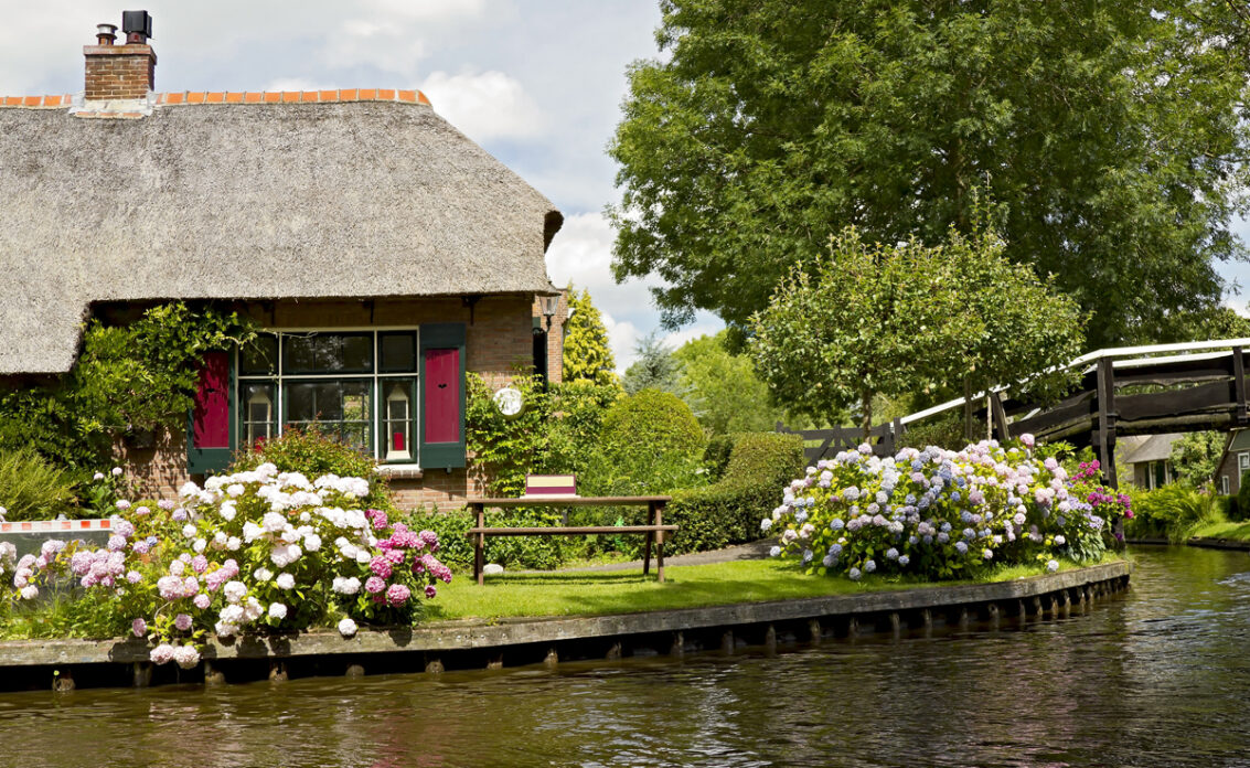 Ländlicher Garten am Fluss – Idee mit vielen Hortensien in weiß & rosa – Gartenbank ...