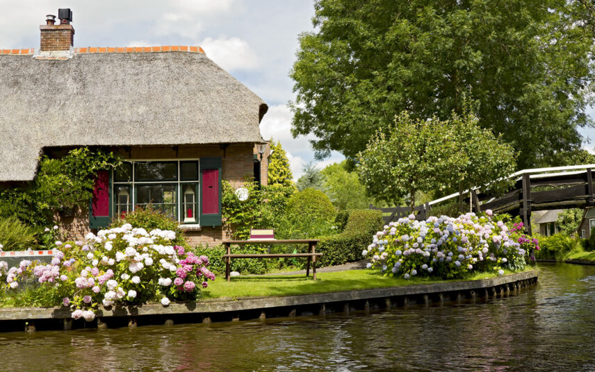 Ländlicher Garten am Fluss – Idee mit vielen Hortensien in weiß & rosa – Gartenbank mit Tisch – Bepflanzte Hauswand & Heckenpflanzen