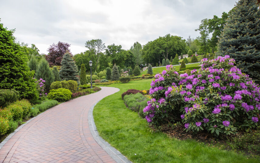 Gestaltungsidee für einen Park – Beispiel mit gepflasterten Parkweg entlang von Beeten mit Blumen – Lila Rhododendron  Koniferen & Büsche – Mastleuchten als Parkbeleuchtung