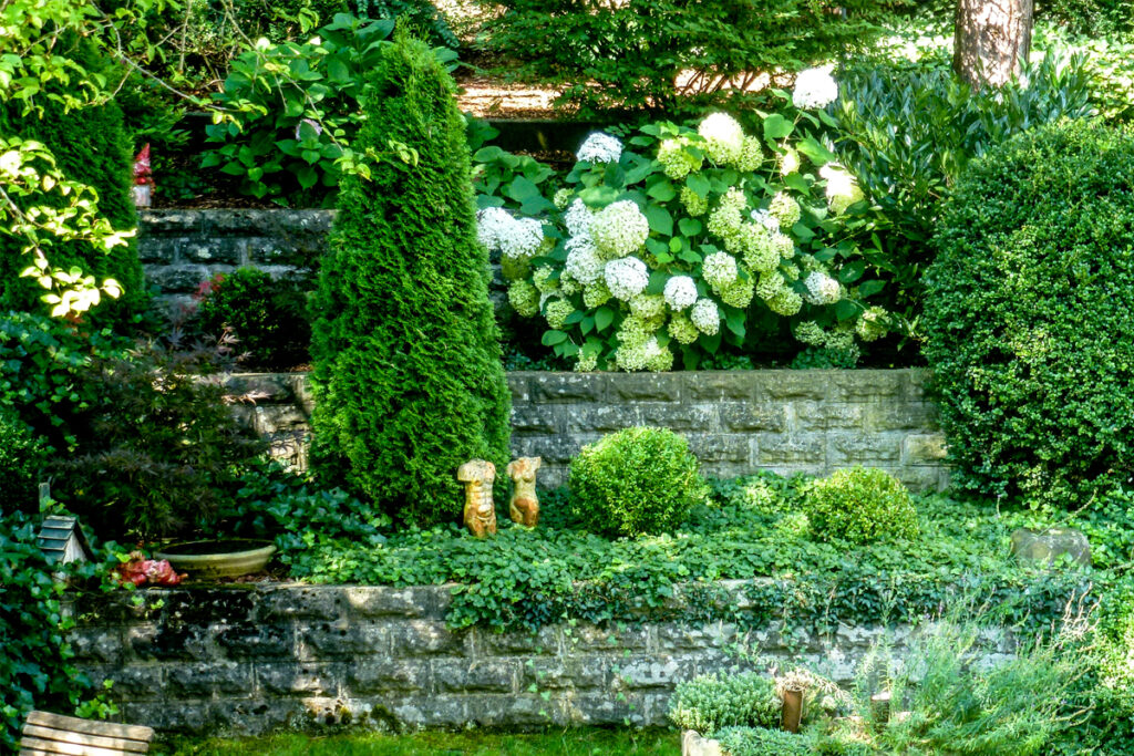 Büsche und Sträucher dienen in der Gartengestaltung als Sichtschutz, lebendige Beeteinfassungen oder Gartenkunst.