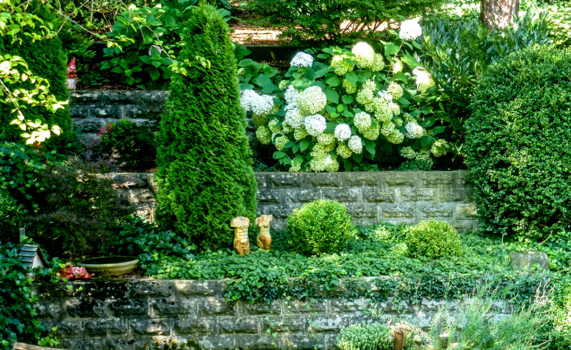 Idee für die Gestaltung des Gartens – Stufenbeete mit Gartenpflanzen  Hortensien & Tors...
