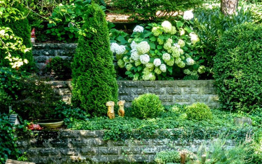 Idee für die Gestaltung des Gartens – Stufenbeete mit Gartenpflanzen  Hortensien & Torsofiguren – Wassertränke für Vögel & Vogelhaus