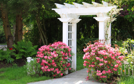 Gartenidee – Gepflasterter Gartenweg durch einen weißen Torbogen mit rosa Rhododendren ...