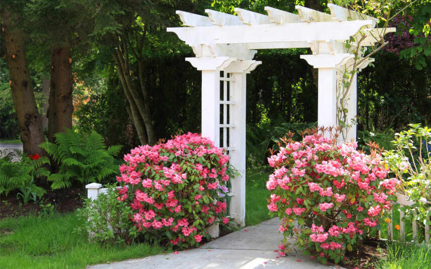 Gartenidee – Gepflasterter Gartenweg durch einen weißen Torbogen mit rosa Rhododendren rechts & links – Große Bäume & Sträucher