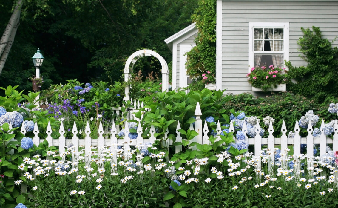 Landhaus Vorgartengestaltung – Bepflanzter Gartenzaun mit blauen Hortensien – weißer ...