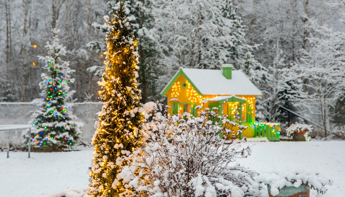 Garten im Winter mit Weihnachtsdekoration - Beispiel mit geschmückten Weihnachtsbaum & Lichterketten am bunten Gartenhaus