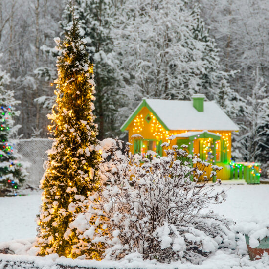 Garten im Winter mit Weihnachtsdekoration - Beispiel mit geschmückten Weihnachtsbaum & Lichterketten am bunten Gartenhaus