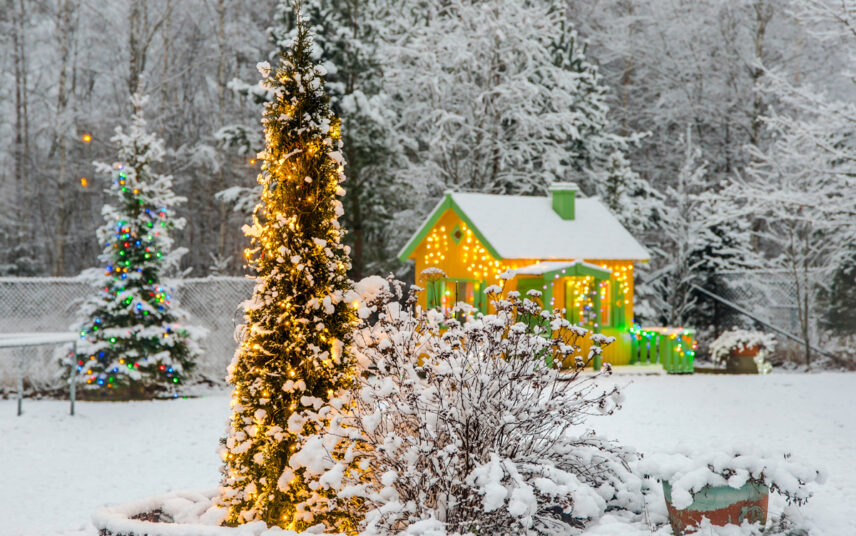 Garten im Winter mit Weihnachtsdekoration – Beispiel mit geschmückten Weihnachtsbaum & Lichterketten am bunten Gartenhaus
