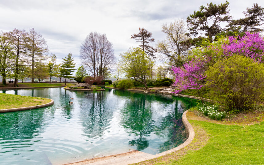 Gepflegter Schwimmteich mit Steinumrandung – Beispiel mit einem Natur Pool in moderner Parkanlage