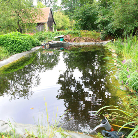 Natur Pur - Schwimmteich Idee mit Teichpumpe & Filteranlage in natürlicher Umgebung - Pflanzen & Sträucher am Teichrand