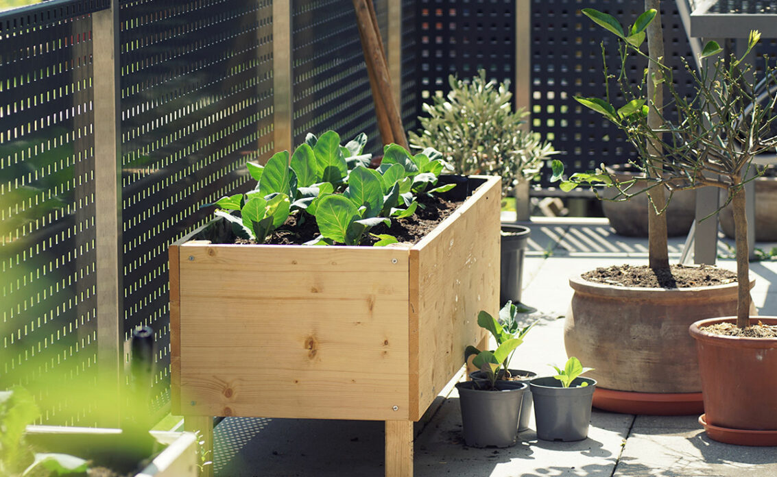 Terrasse oder Balkongestaltung – Hochbeet aus Holz – Große & kleine Pflanzgefäße...