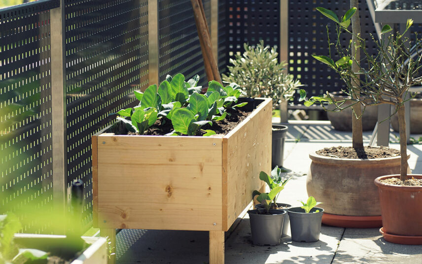 Terrasse oder Balkongestaltung – Hochbeet aus Holz – Große & kleine Pflanzgefäße
