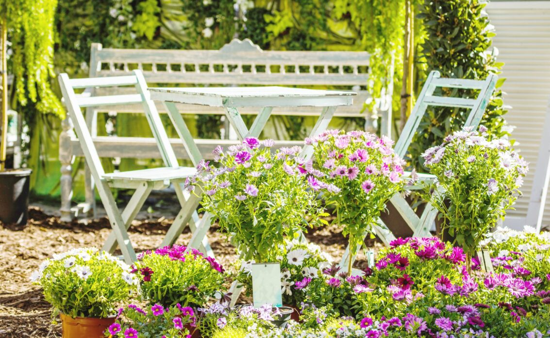 Idee Sommerdekoration im Garten – Blumenarrangement mit Kapkörbchen...
