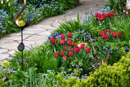Staudenbeet im Frühling mit verschiedenen Frühlingsblumen & Kräutern – ein gepflasterter Weg führt durch den Garten