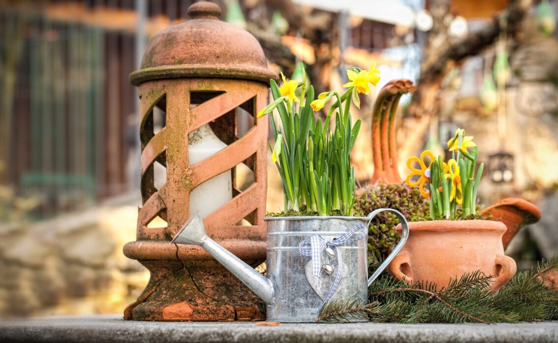 Kreativ-Idee / erste Frühlingsdekoration im Garten mit Narzissen in Pflanzgefäßen und T...