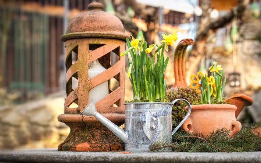 Kreativ-Idee / erste Frühlingsdekoration im Garten mit Narzissen in Pflanzgefäßen und Terrakottawindlicht