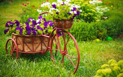 Gartendekoration für den Sommer – romantisches Dekofahrrad aus Eisen bepflanzt mit Petu...