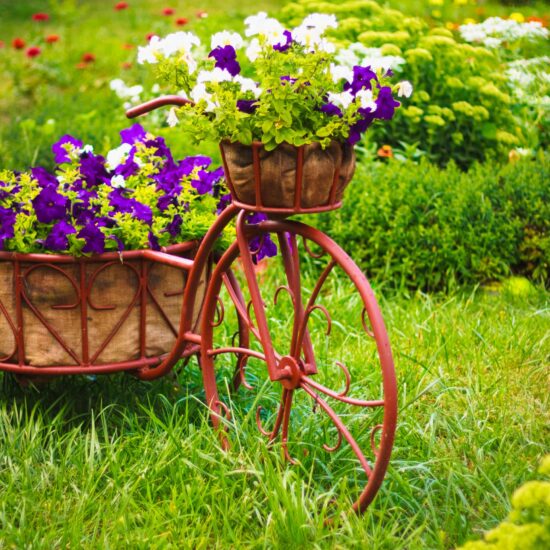 Gartendekoration für den Sommer - romantisches Dekofahrrad aus Eisen bepflanzt mit Petunien