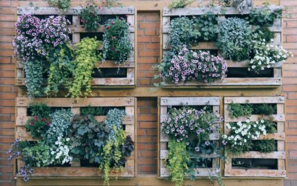Dekoidee Mikrogarten – vertikal gärtnern mit Sommerblumen in bepflanzten Holz-Paletten ...
