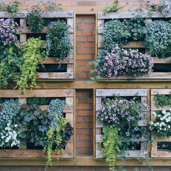 Dekoidee Mikrogarten - vertikal gärtnern mit Sommerblumen in bepflanzten Holz-Paletten an einer Hauswand
