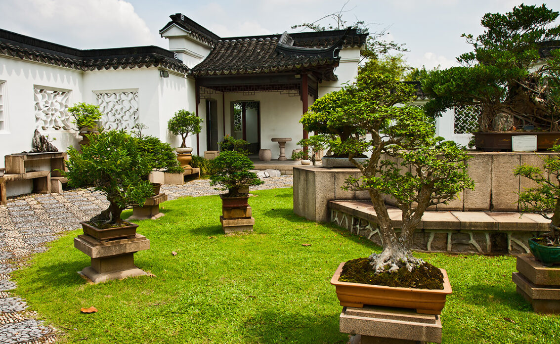 Bonsaibäume auf Steinpodesten im japanischen Garten