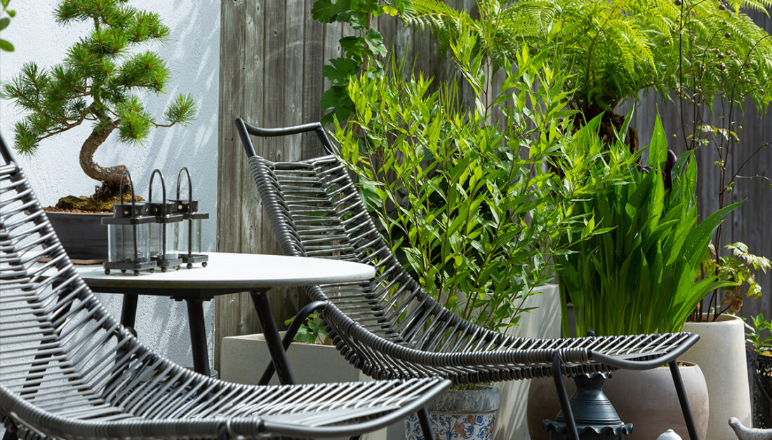 Moderne Gartengestaltung mit Korbsesseln auf der Terrasse & Bonsai auf dem Tisch