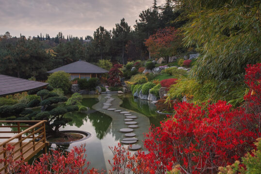Japanischer Bonsaigarten mit Teich und Wasser...