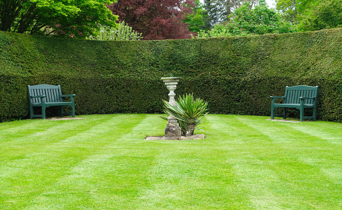 Einfache Gartengestaltung mit einer hohen Hecke als Sichtschutz – St...