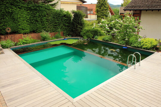 Beispiel für einen selbstgebauten Naturpool mit Pflanzen um den Pool und Holzsteg