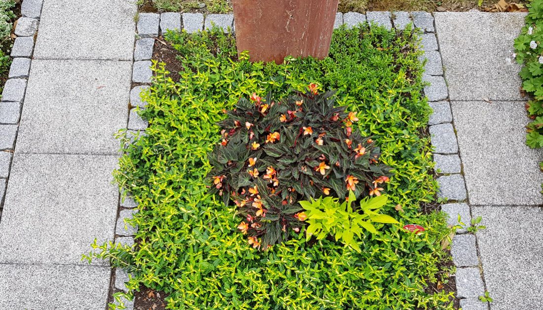 Moderner Grabstein aus rotem Travertin mit einer pflegeleichten Grabbepflanzung aus Bodendeckern und Sommerblumen