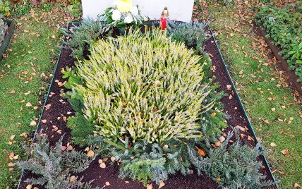 Winterliche Grabgestaltung eines Einzelgrabes mit einer pflegeleichten Bepflanzung aus Hei...