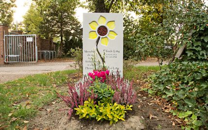Idee für die Grabgestaltung – Einzelgrabstein aus hellem Kalkstein mit Blume als Glasor...
