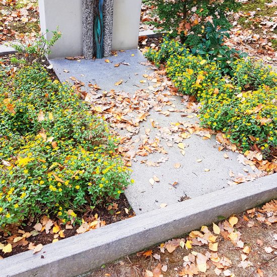 Doppelgrab mit geteiltem Grabstein aus Kalkstein  Einfassung  Trittplatte & Bronzefigur / Grabbepflanzung mit Nadelgehölzen und gelben Sommerblumen