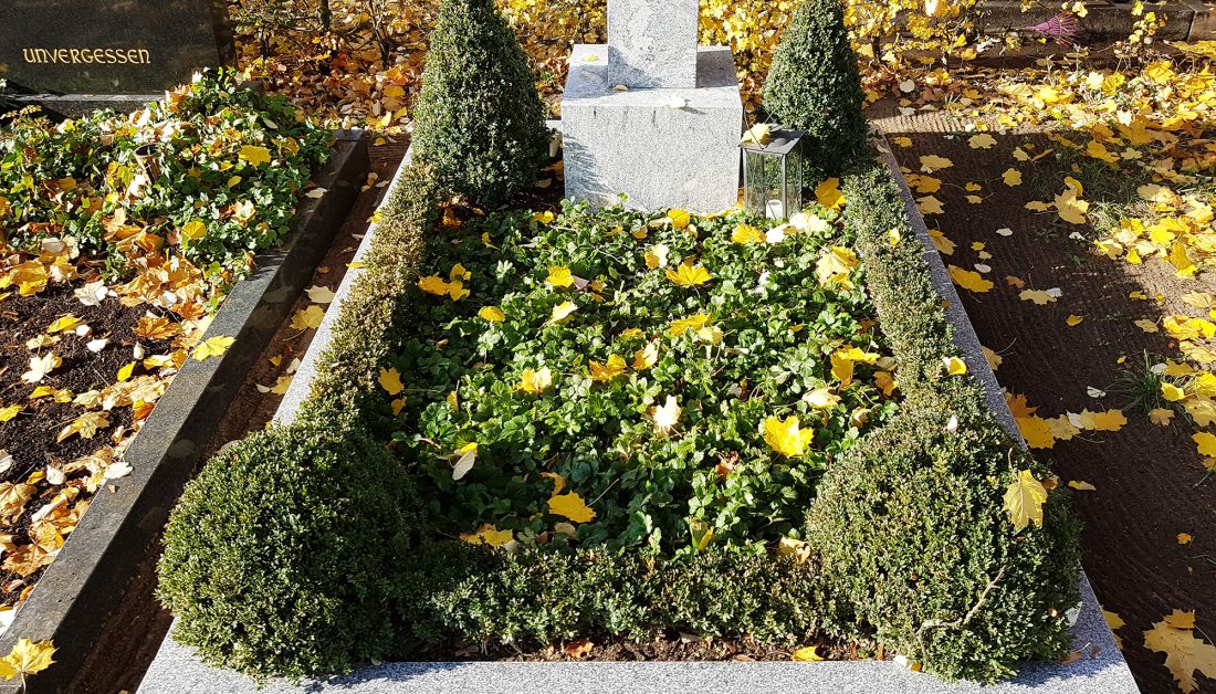 Beispiel Einzelgrab mit moderner Grabstele mit Einfassung aus Granit - pflegeleichte Grabbepflanzung mit Bodendeckern und Buchsbaum