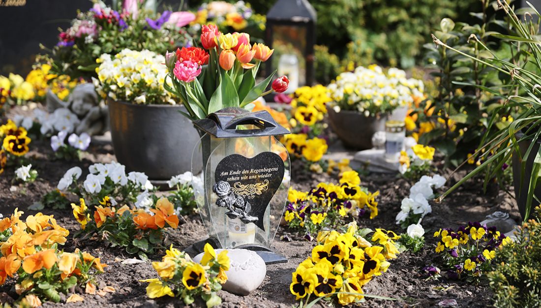 Moderner Doppelgrabstein aus schwarzem poliertem Granit mit Öffnung und zwei Bronzeengeln - Üppige Grabgestaltung mit Frühlingsblumen und Grabdekoration