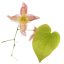 Elfenblume: Die Elfenblume ist eine ganzjährige Grabpflanze  jedoch sollte der Winter nicht allzu kalt sein. Die Blütezeit beginnt bereits im Frühjahr.
