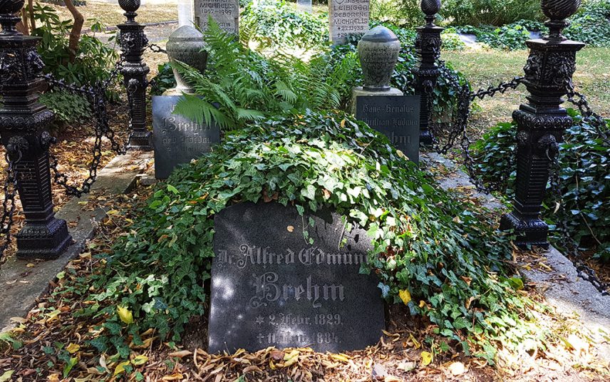Renthendorf letzte Ruhestätte der Familie Brehm auf dem Dorffriedhof – u.a. Alfred Brehm Zoologe & Schriftsteller