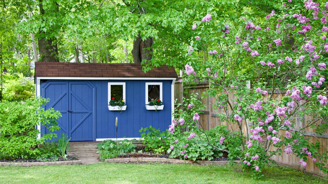 großer Geräteschuppen in blau mit weißen Holzfenstern im Cottagegarten