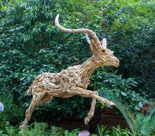 Holzskulptur Antilope aus Treibholz