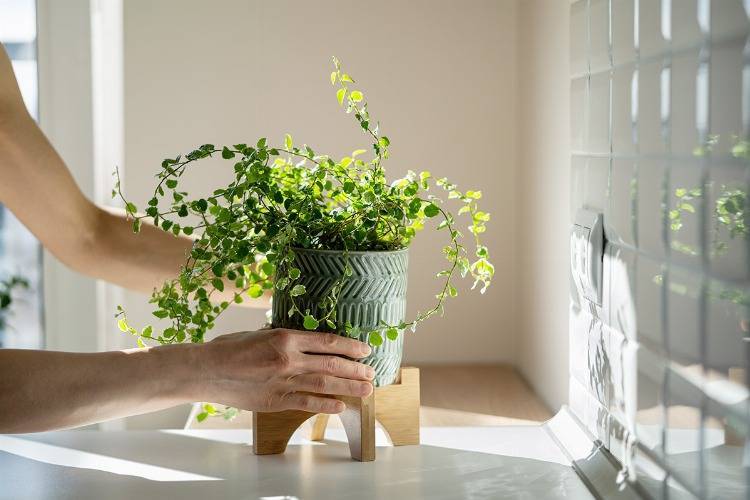 Blumentopf aus Keramik grün mit Holzsockel Skandinavisches Design