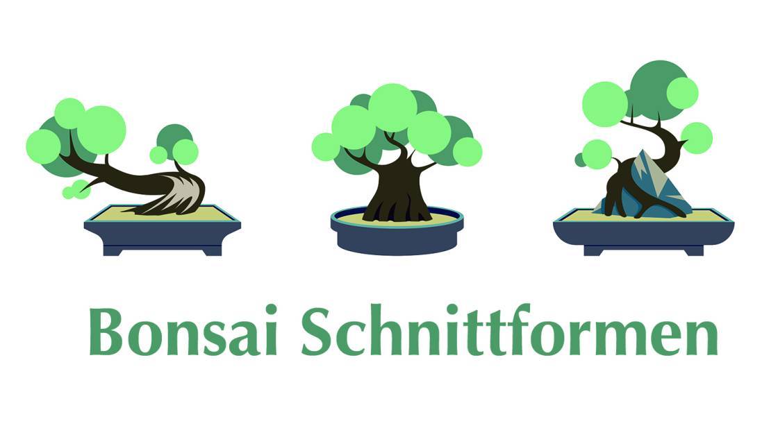 Bonsai Baum Schnittformen zum Nachmachen
