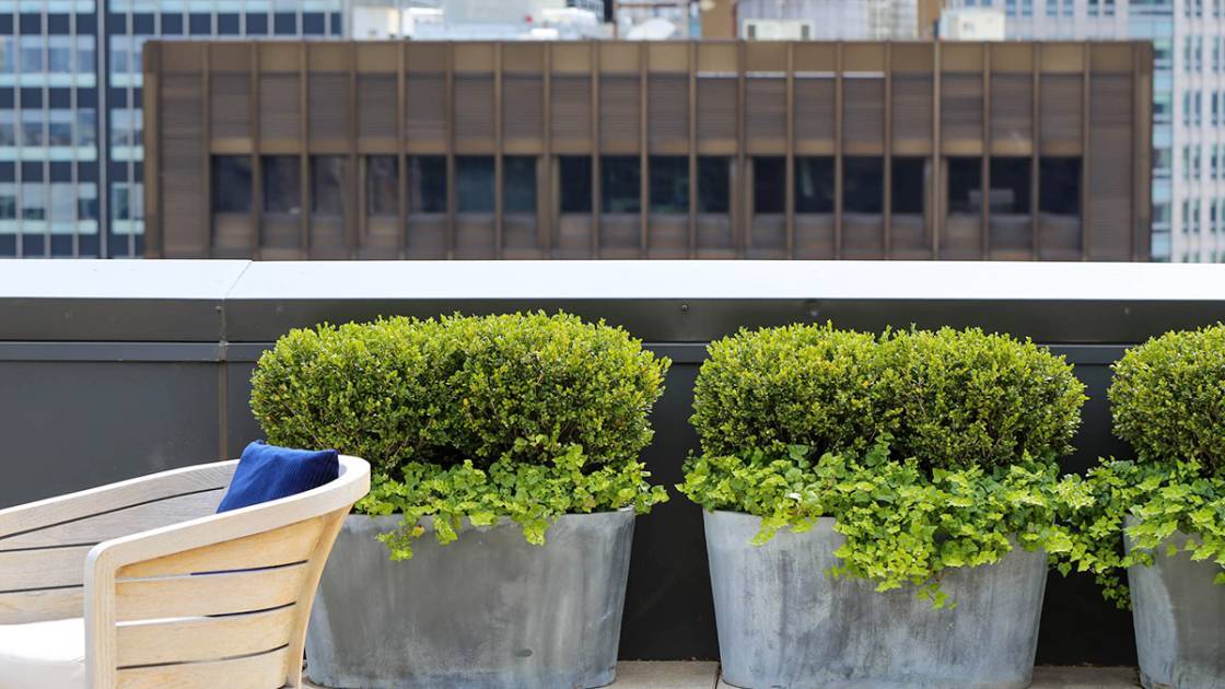 Pflanzkübel groß aus Zink mit Heckenpflanzen auf Balkon
