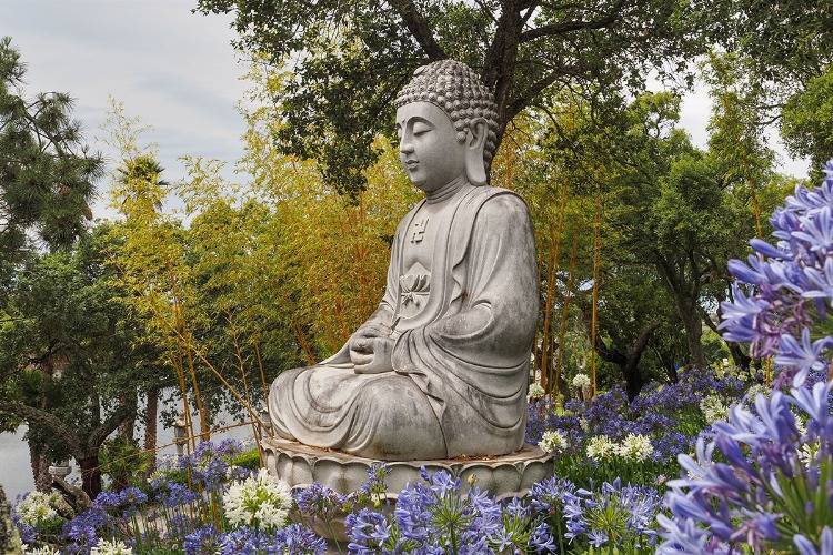 große Gartenfigur Buddha zwischen Agapanthus