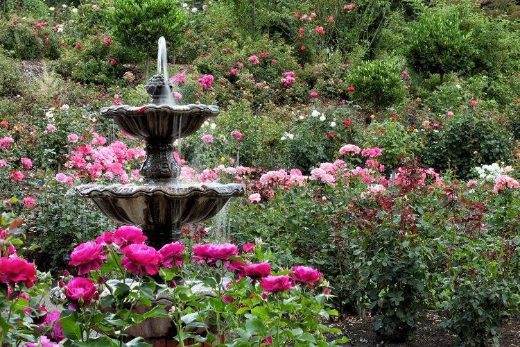 Rosengarten mit Kaskadenbrunnen als Gartendeko