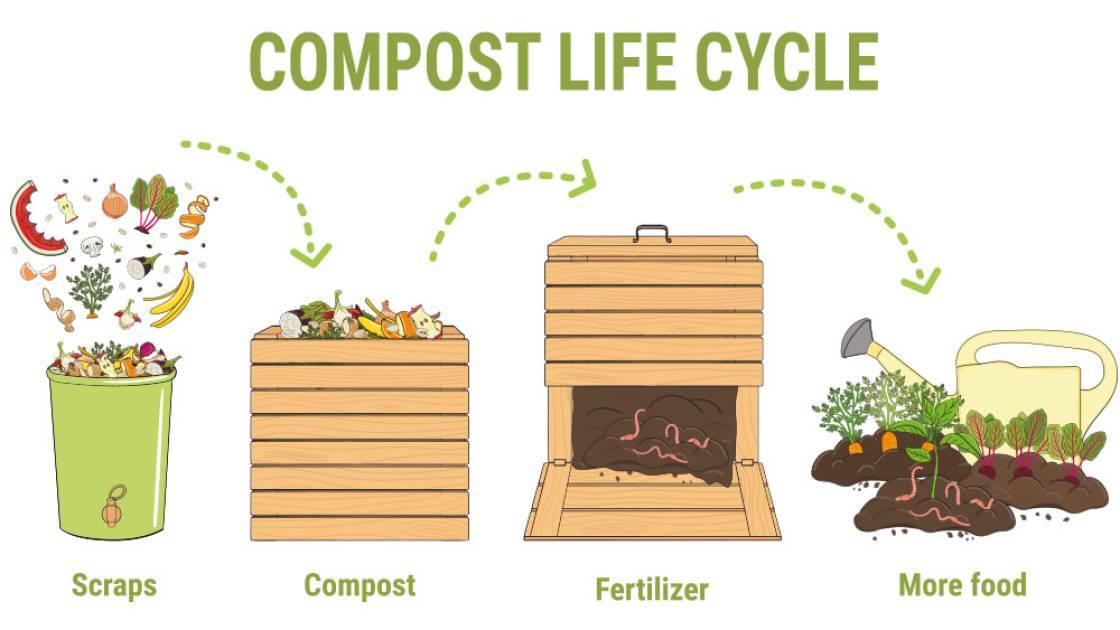 Kompostzyklus erklärt