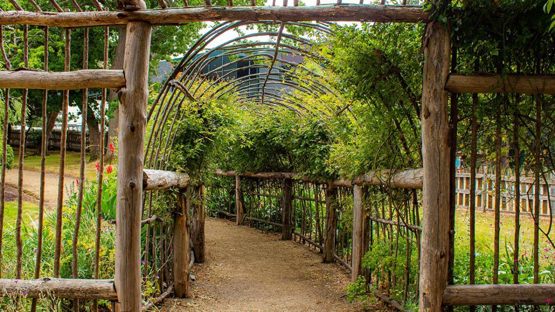 Rankbögen mit Rankspalieren aus Wildholz als schattenspendender Tunnel im Garten