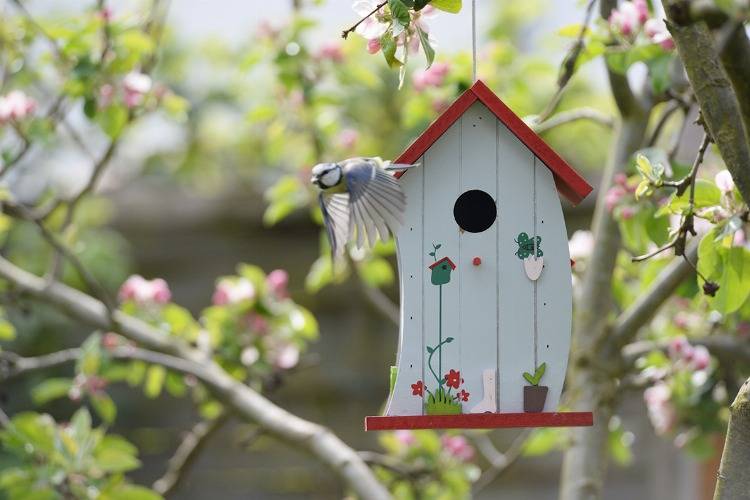 buntes Vogelhäuschen als Dekoration im Apfelbaum Nisthilfe für Meisen
