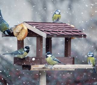 Futterhaus für Vögel mit Ständer im Winter