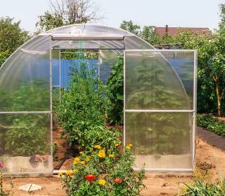 Gewächshaustunnel mit Hohlkammerplatten für den Gemüseanbau im eigenen Garten