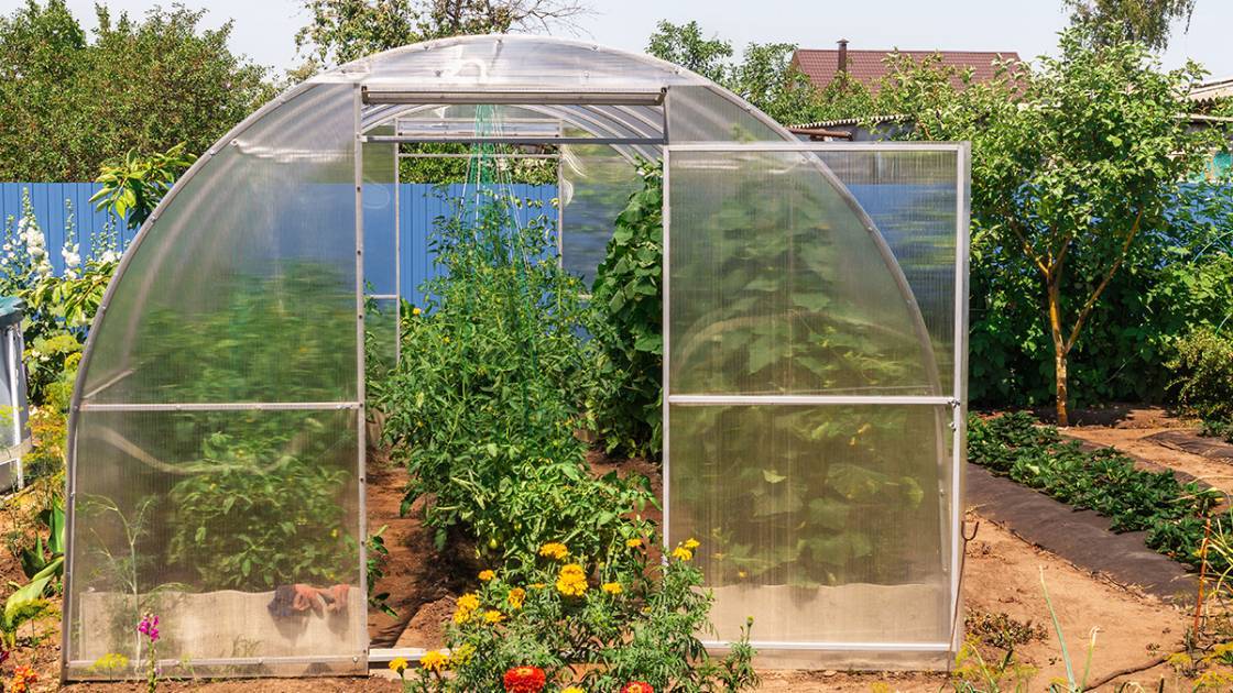 Gewächshaustunnel mit Hohlkammerplatten für den Gemüseanbau im eigenen Garten